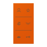 JUNG Abdeckung Türstat or_vif mt LS SI V6 LC DC 260 div.Symbole