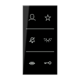 JUNG Design-Cover Kst sw LS SI V6 DC SW