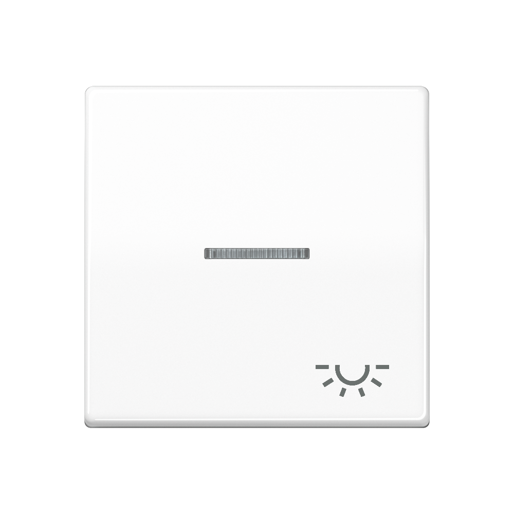 JUNG Kontrollwippe Schalter aws Licht SPAS 591 KO5L WW
