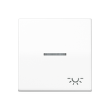 JUNG Kontrollwippe Schalter aws Licht SPAS 591 KO5L WW