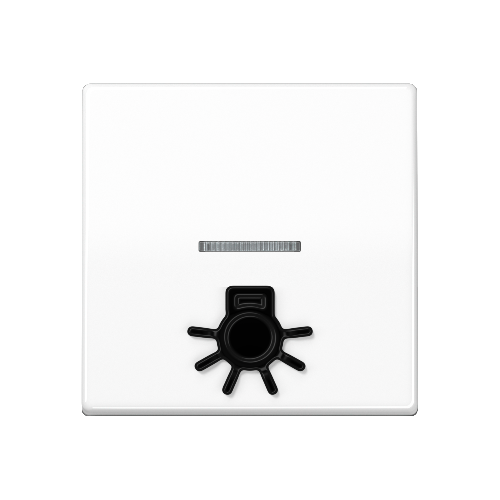 JUNG Kontrollwippe Schalter aws Licht SPAS 591 L1KO5 WW