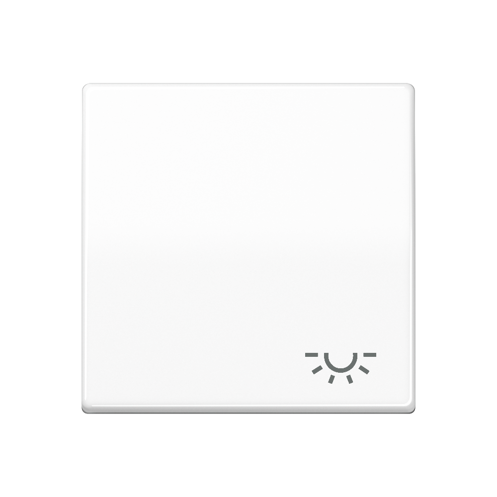 JUNG Wippe Schalter aws Licht SPAS 591 L WW