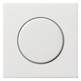 GIRA Drehknopf Symbol Dimmer rws glz Fläche 0650112