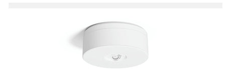 RZB LED-Sicherheitsleuchte 0 4000K 240lm LUCIO 2 672527.002.F1 Deckenanb