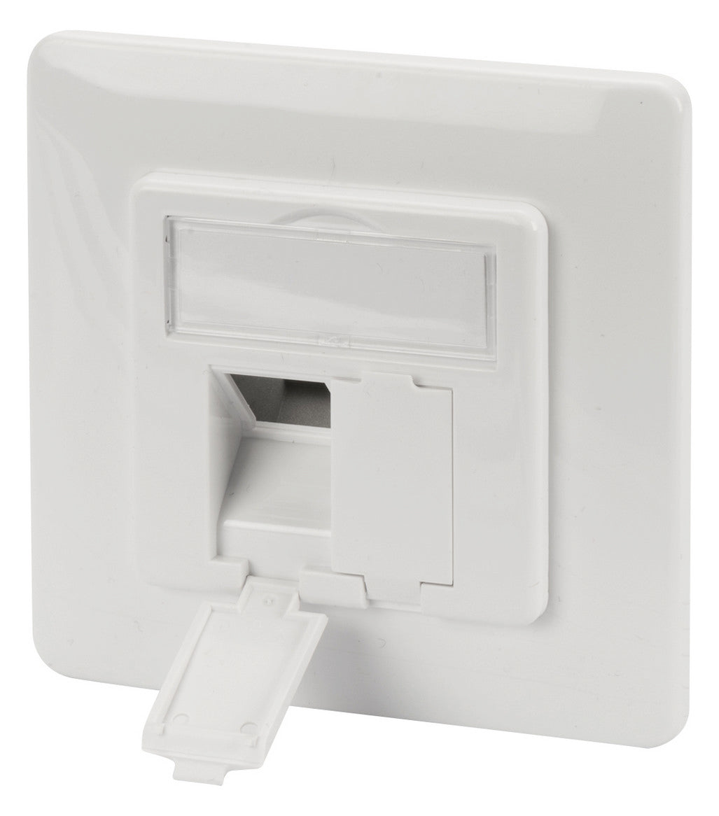 ASSMANN ELEKTRO Leerdose Key. Module 80x80Ra.,50x50Zentralpl. DN-93831
