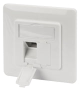 ASSMANN ELEKTRO Leerdose Key. Module 80x80Ra.,50x50Zentralpl. DN-93831
