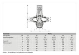 Druckminderer D06FH Hochdruckausführung, Messing, B, R1