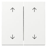 GIRA Wippe_2t Jalousie rws glz System 55 329703 div.Symbole