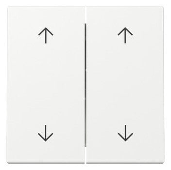 GIRA Wippe_2t Jalousie rws glz System 55 329703 div.Symbole