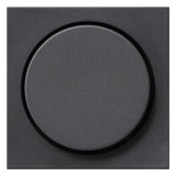 GIRA Drehknopf Symbol Dimmer anth System 55 065028