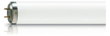 PHILIPS-LM Schwarzlichtlampe 100W G13 vi FlexoPrint TL 100W/10-R UV-A Stab