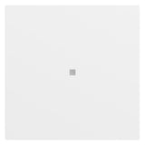 GIRA Kontrollwippe Schalter rws lack 329072