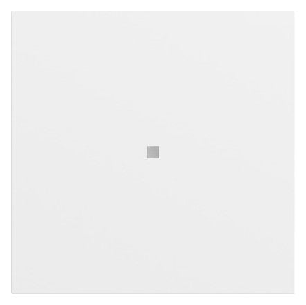 GIRA Kontrollwippe Schalter rws lack 329072