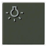 SIEDLE Zubehör Sprechanlage Kst Türstat TLM 61x-01, BTLM 650-... GM br