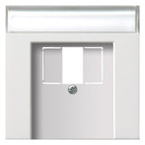 GIRA Zentralplatte USB/TAE 1f rws Fläche 0876112 Schraubbef m.Beschr.Feld