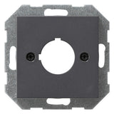 GIRA Zentralplatte Bohrung 1f anth System 55 027228 Schraubbef