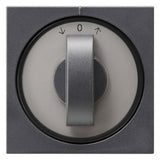GIRA Knebel Jalousie anth System 55 066628