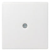GIRA Zentralplatte Kabelausl rws System 55 027403 Schraubbef