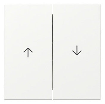 GIRA Wippe_2t Jalousie rws mt System 55 329427 div.Symbole