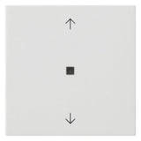 GIRA Kontrollwippe Schalter rws mt System 55 538827 Pfeile