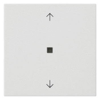 GIRA Kontrollwippe Schalter rws mt System 55 538827 Pfeile