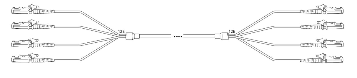 O8146.1