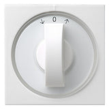 GIRA Knebel Jalousie rws glz Pfeile System 55 066603