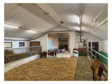 LEDVANCE LED-Feuchtraumleuchte 50W 4000K DP SPECIAL 1500 50 W 4000 K WT IP67 6500