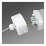 REGIOLUX LED-Lichtleiste 35W 4000K Konv pirola-PGPC-DV/1500 5500 840 DALI2 5542l