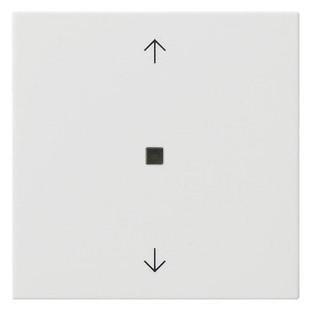 GIRA Bedienelement 1f rws m.Abd glz System 55 538203 f.Dimmeins
