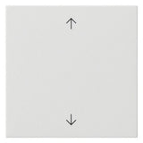 GIRA Wippe Schalter rws glz Pfeile System 55 538903