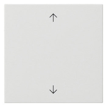 GIRA Wippe Schalter rws glz Pfeile System 55 538903