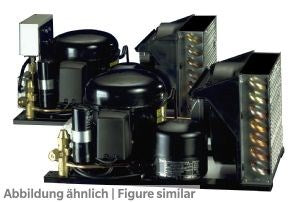 Verfl.-Satz Danfoss TLS5FXN2 (R134a) Kapillarrohrbetrieb, R134a             *