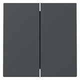 GIRA Wippe Serien Schalter anth mt System 55 329528