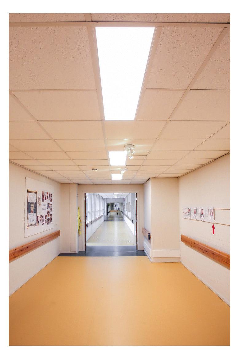 LEDVANCE LED-Panel 1195x295mm 33W 4000K PL COMP 1200 V 33W 840 U19 DALI 3630lm