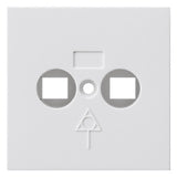 GIRA Zentralplatte Potenzialausgl 2f rws System 55 810903 Schraubbef