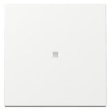 GIRA Kontrollwippe Schalter rws glz System 55 329003