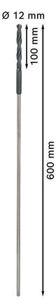 BOSCH-EW Universalbohrer  12mm 550/600mm 2608596344 zyl.Steckachse