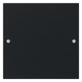 GIRA Tastwippe KNX sw mt System 55 2181005