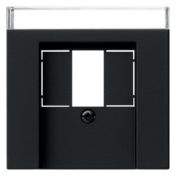 GIRA Zentralplatte USB/TAE sw Schraubbef System 55 0876005 m.Beschr.Feld