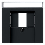 GIRA Zentralplatte USB/TAE sw Schraubbef System 55 0876005 m.Beschr.Feld