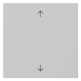GIRA Wippe Schalter gr mt Pfeile System 55 5389015