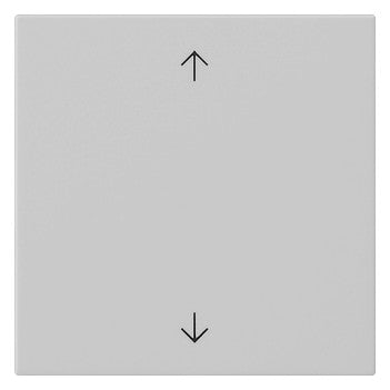 GIRA Wippe Schalter gr mt Pfeile System 55 5389015
