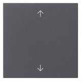 GIRA Wippe Schalter anth Pfeile System 55 538928