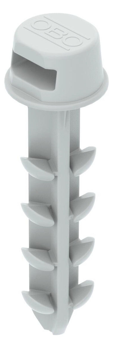 BETTERMANN Steckdübel  6mm Kst L30mm DP KB 30