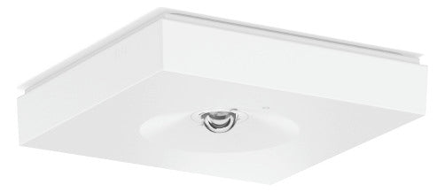 RZB LED-Sicherheitsleuchte 2,8W 4000K CENTRYXX 672582.002 240lm Deckenanb
