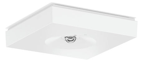 RZB LED-Sicherheitsleuchte 2,8W 4000K CENTRYXX 672582.002 240lm Deckenanb