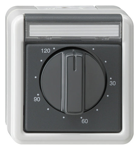 GIRA Zeitschalter mech 1S gr 0-120min AP WG AP 032130 250V