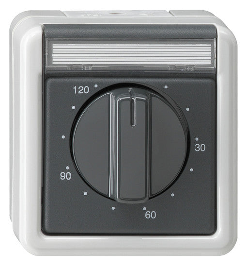 GIRA Zeitschalter mech 1S gr 0-120min AP WG AP 032130 250V