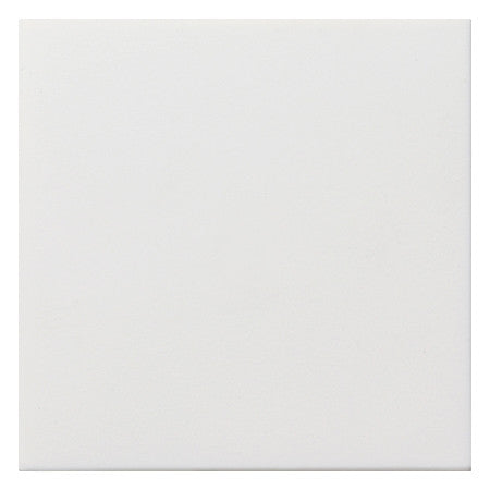 GIRA Zentralplatte Blindabd rws Fläche 0268112 Schraubbef